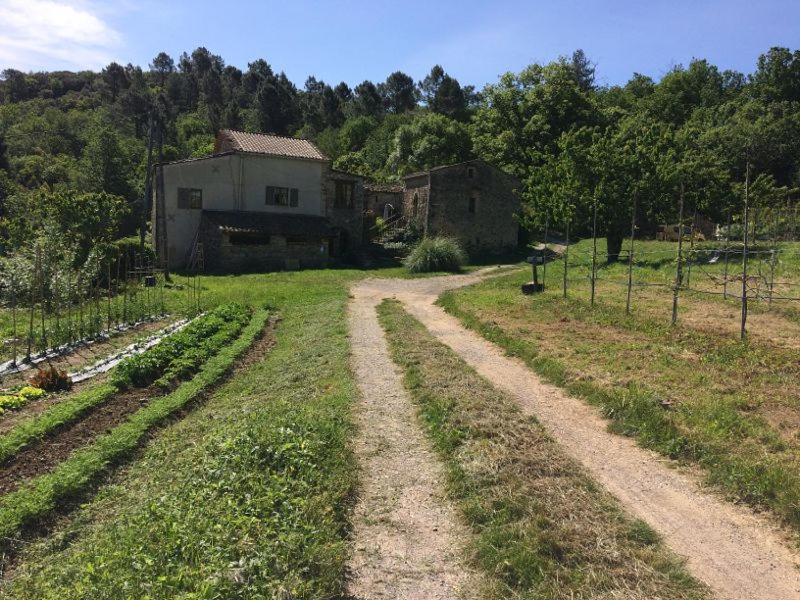 Deux Chambres D Hotes Attenantes Avec Salon Salle A Manger Privatif En Cevennes Gardoises Saint-Jean-du-Gard Exterior photo